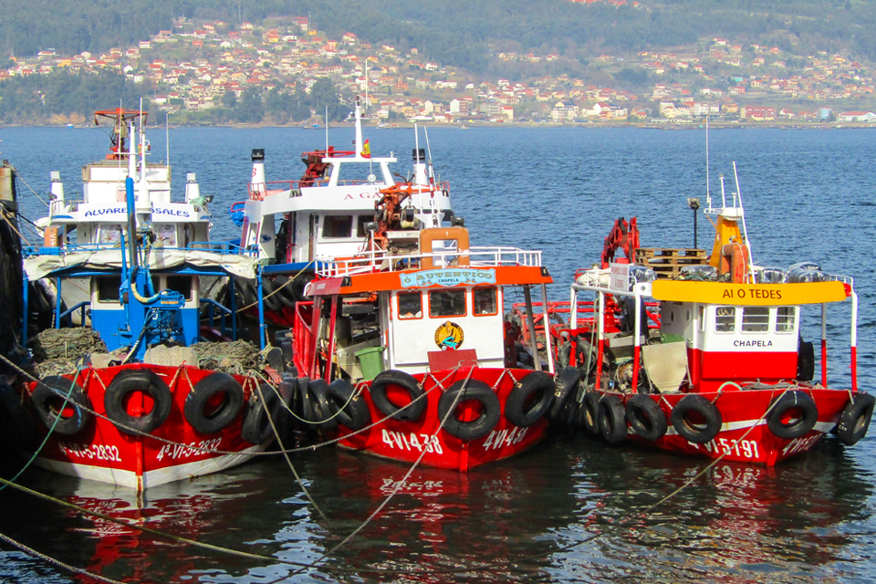 Vissersboten in Galicië, Spanje