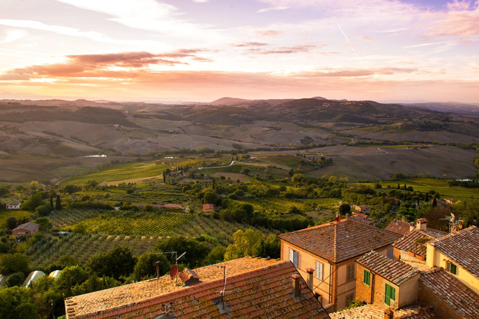 Wijnvelden in Toscane, Italië