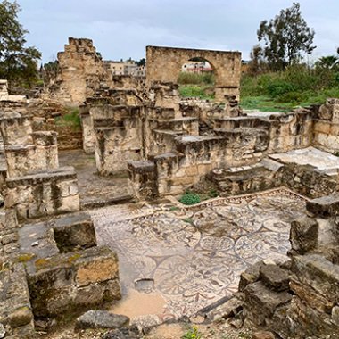 Archeologische site van Tyrus Archeologische site Tyrus, Libanon | Foto reisleidster Claudia