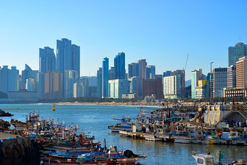 Vissershaven Busan Zuid-Korea Vissershaven Busan Zuid-Korea