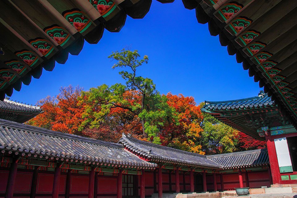 Changdeokgung Seoul Zuid-Korea Changdeokgung Seoul Zuid-Korea
