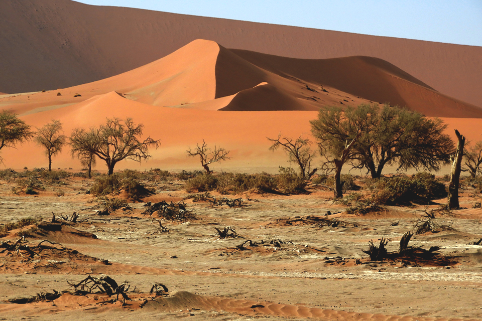 De rode zandduinen van Sossusvlei, Namibië