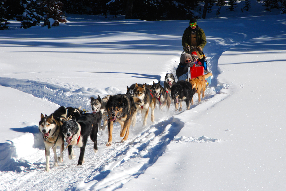 Hondenslee Lapland, Noorwegen
