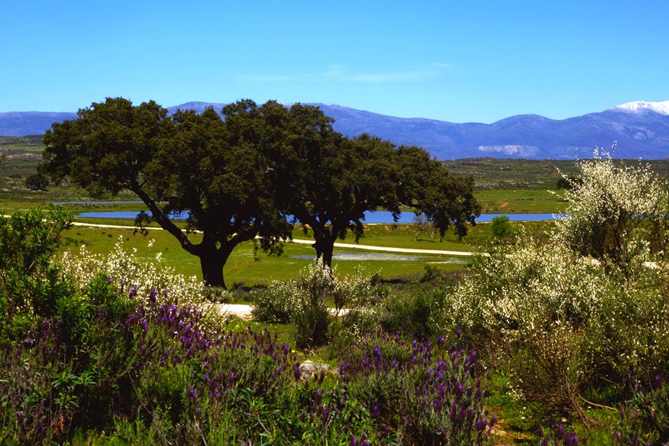 Landschap Extremadura, Spanje