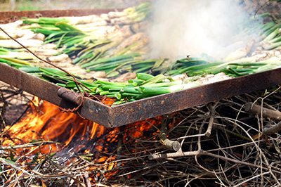 Calçots op het open vuur