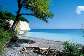 Krijtrotsen van Rügen, Duitsland Krijtrotsen van Rügen, Duitsland