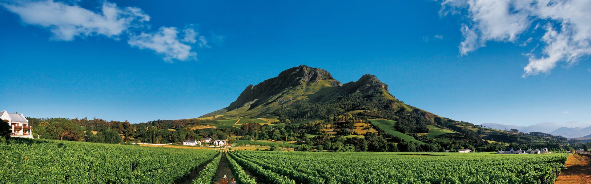 Stellenbosch in Zuid-Afrika