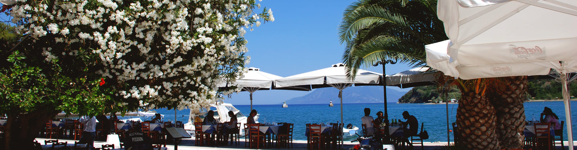 Grieks terras op de Peloponnesos, Griekenland