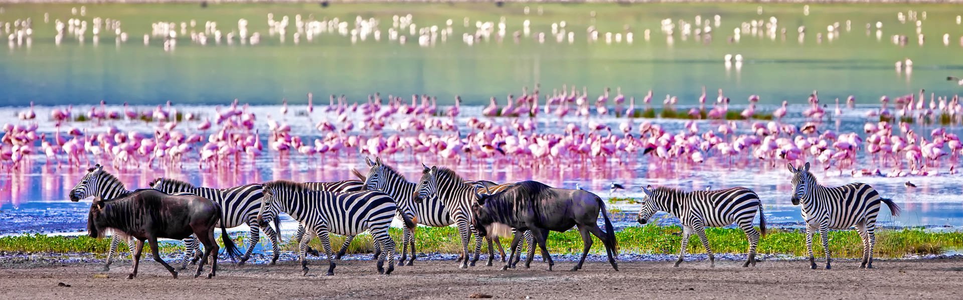 Ngorongoro, Tanzania