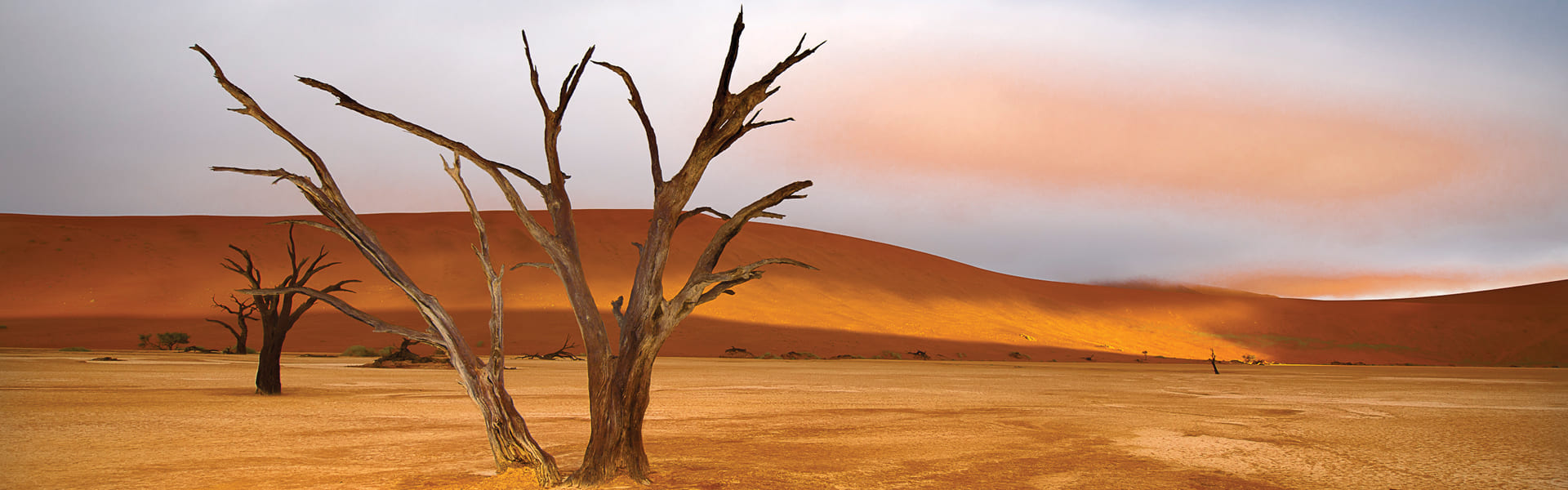 Deadvlei in Namibië