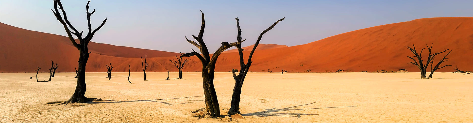 Deadvlei in Namibië