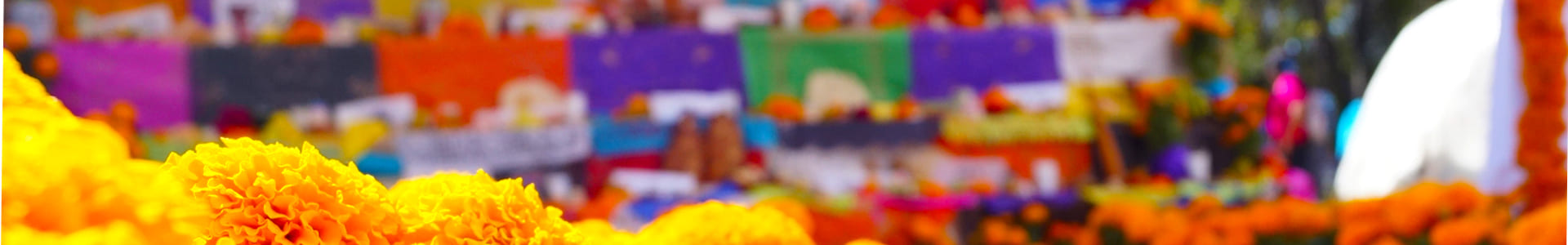 Días de los Muertos in Mexico