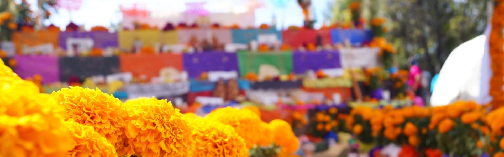 Días de los Muertos in Mexico