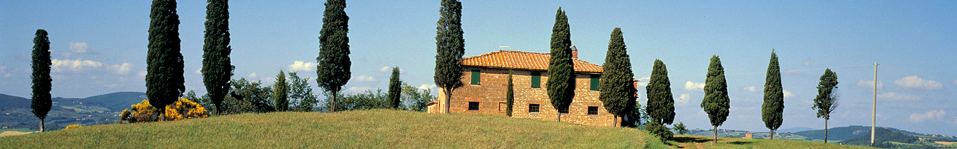 Cultuurvakantie Toscane, Italië