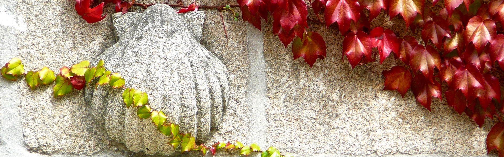 Jacobsschelp op de route naar Compostela, Spanje