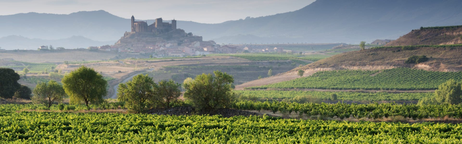 Riojastreek in Spanje