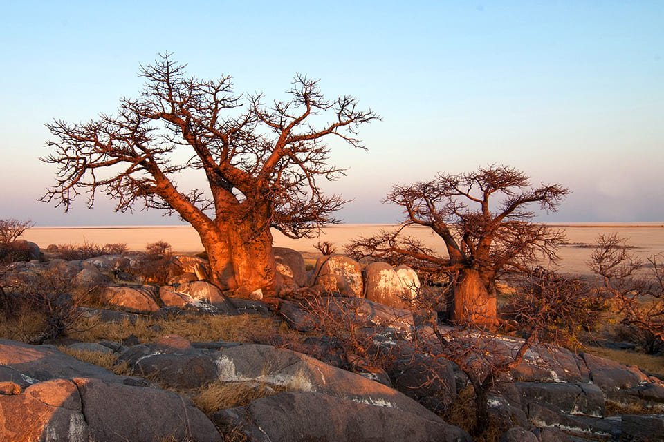 Makgadikgadi Pans, Botswana