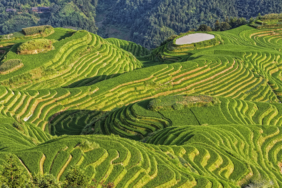 Rijstvelden van Longsheng, China