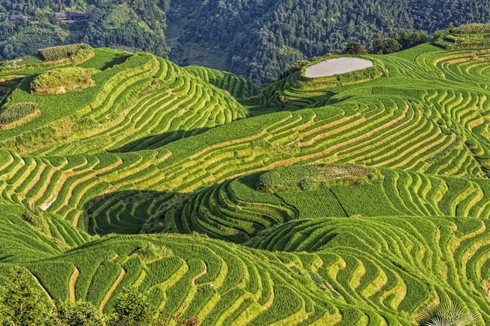 Rijstvelden van Longsheng, China