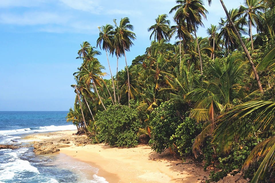 Playa Carillo, Costa RIca