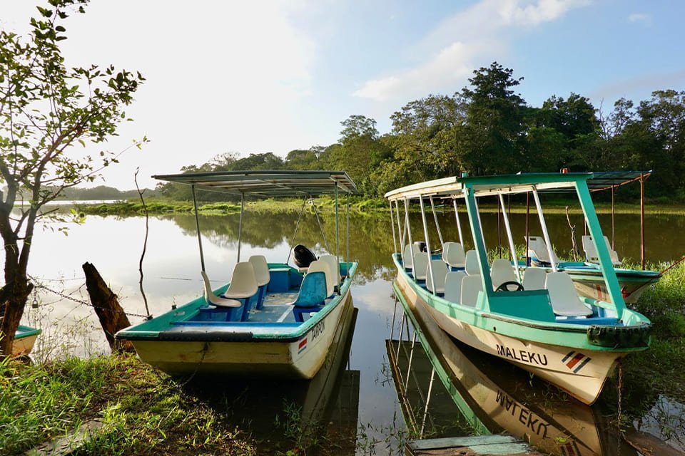 Caño Negro in Costa Rica, reizigster Margot Hutten Caño Negro in Costa Rica, reizigster Margot Hutten