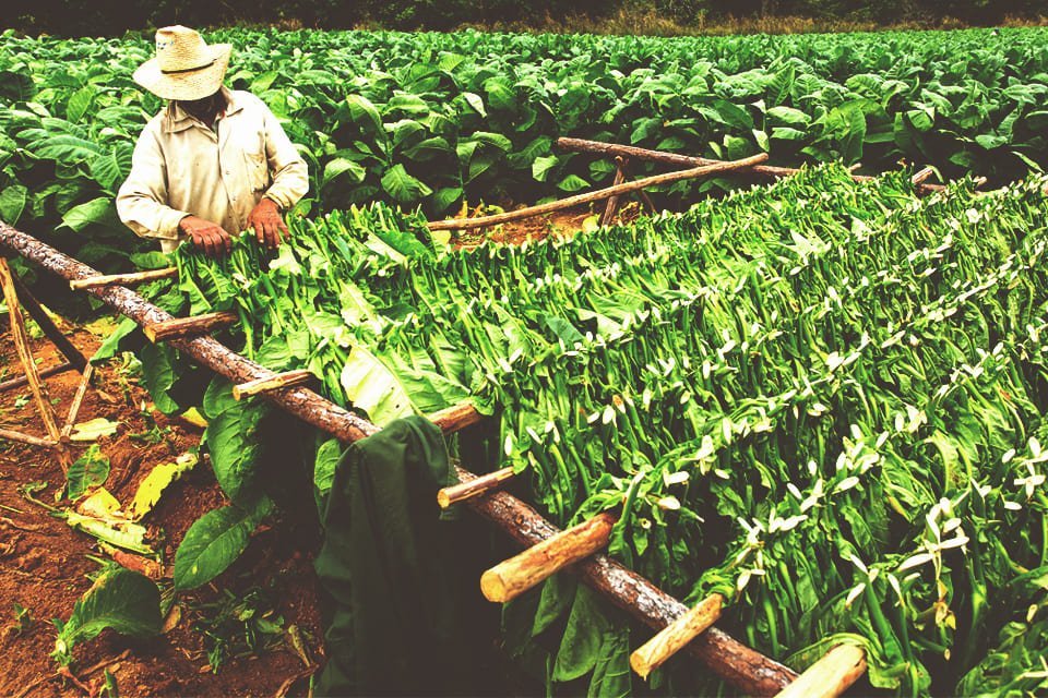 Vallei van Vinales, Cuba