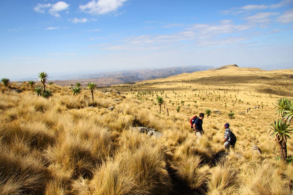 Woestijn in Ethiopië