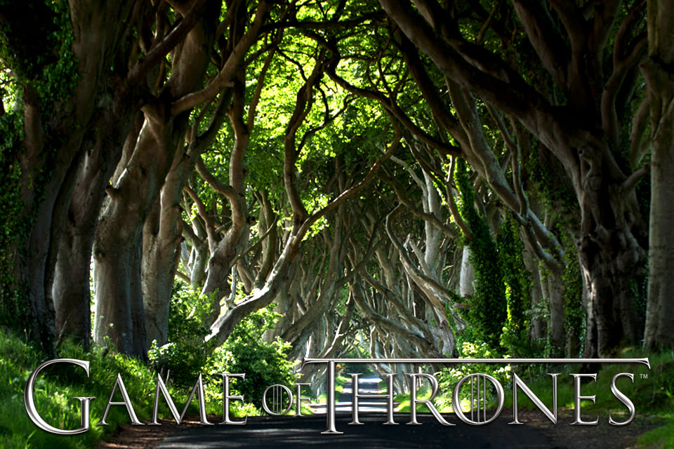 Dark Hedges, Noord-Ierland
