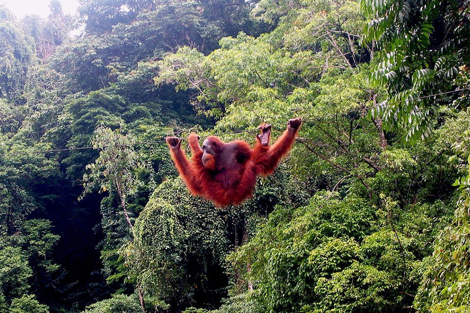 Sumatra, Indonesië