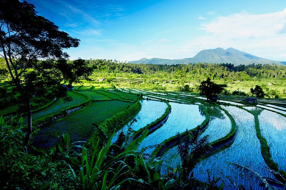 Bali, Indonesië