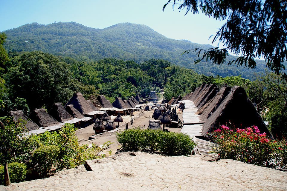 Flores, Indonesië