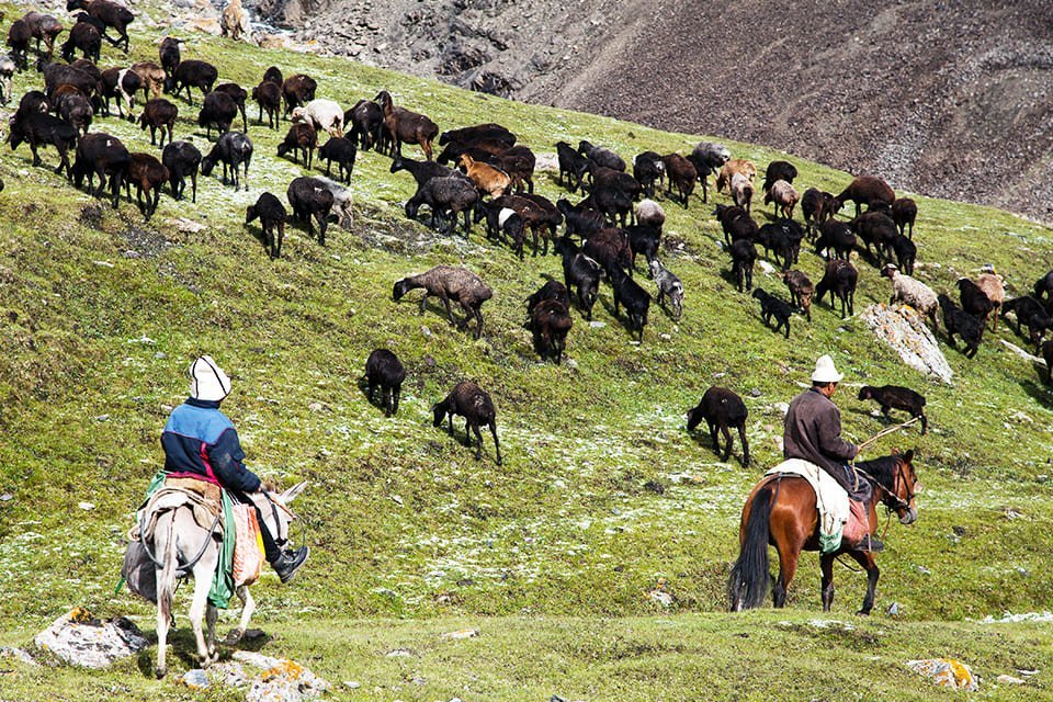 Herders, Kirgizië
