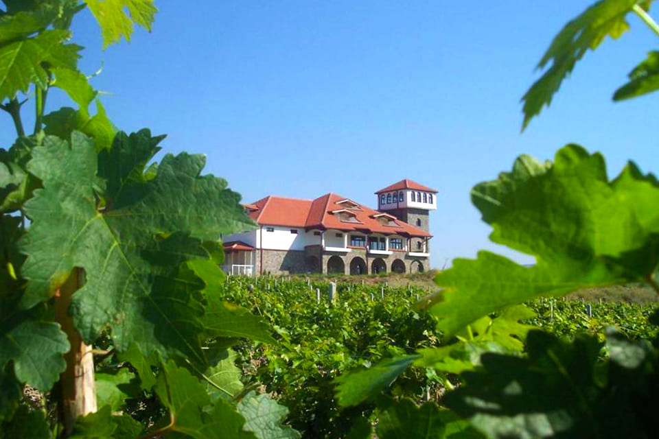 Wijngebied Popova Kula, Noord-Macedonië