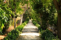 Botanische tuin van San Anton, Malta
