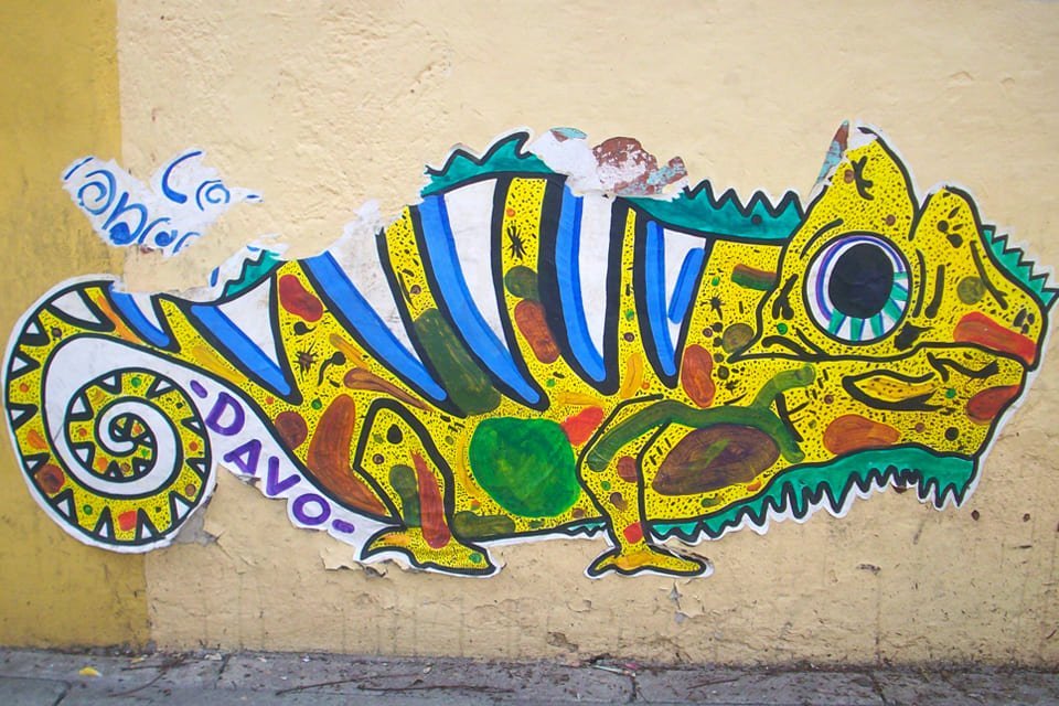 Street art in Oaxaca in Mexico