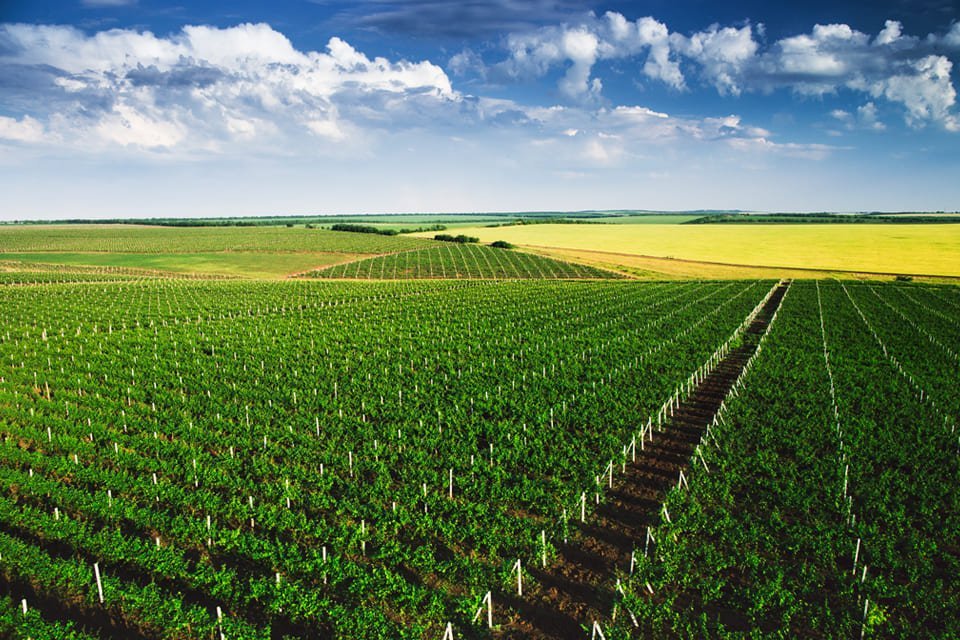 Platteland van Moldavië