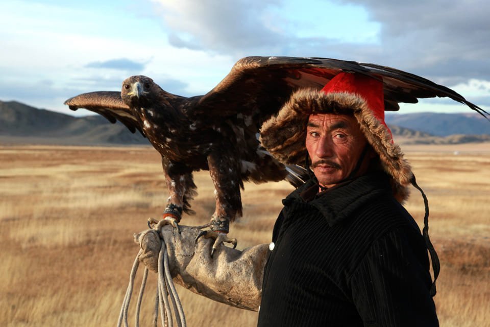 Adelaarsjager, Mongolië