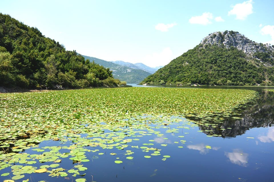 Meer van Skadar, Montenegro