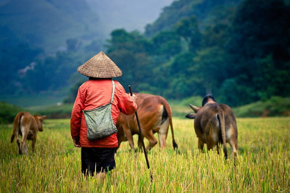 Platteland, Myanmar