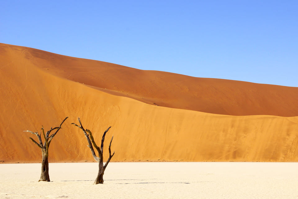 Deadvlei, Namibië - Foto door Peter van de Wiel