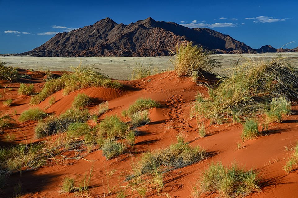 Sossusvlei, Namibië