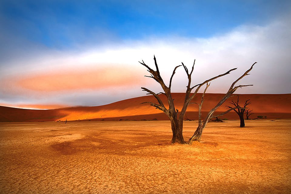 Deadvlei, Namibië