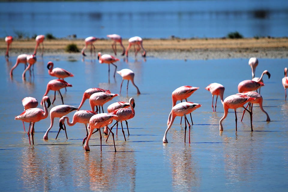 Walvisbaai, Namibië