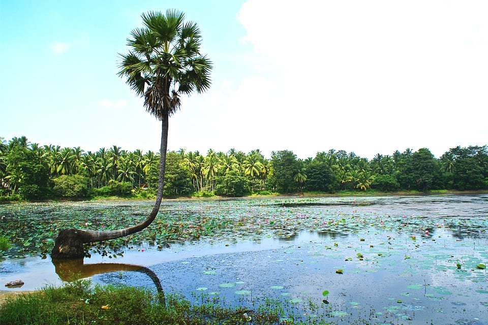 Yala National Park, Sri Lanka