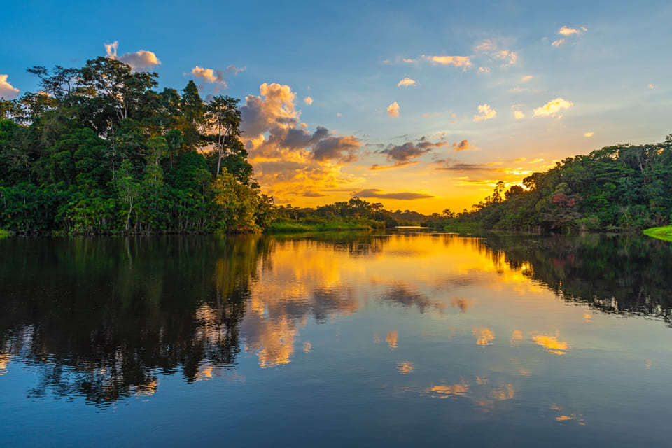 Amazoneregenwoud in Suriname