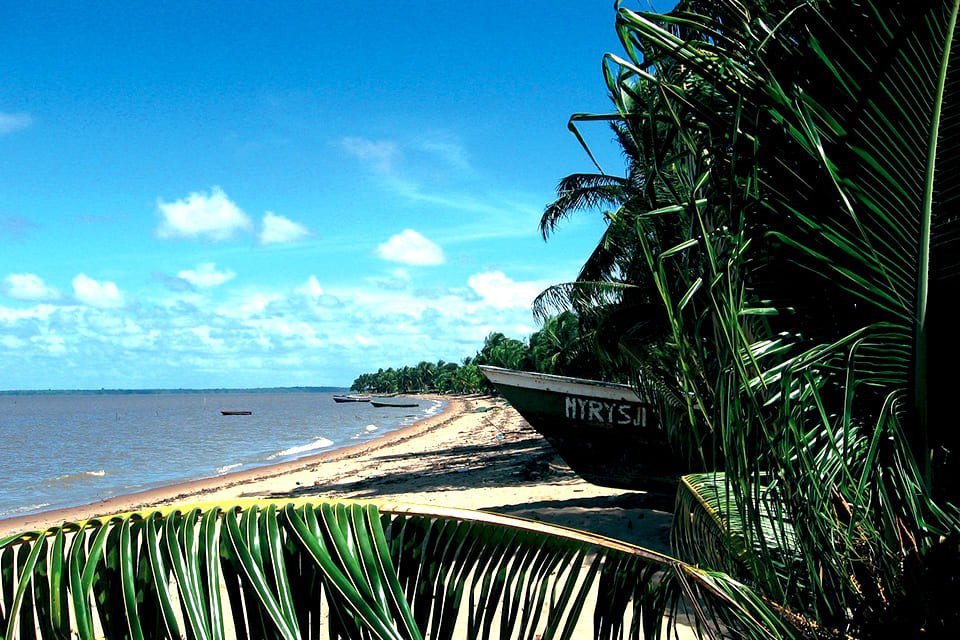 Natuur, Suriname