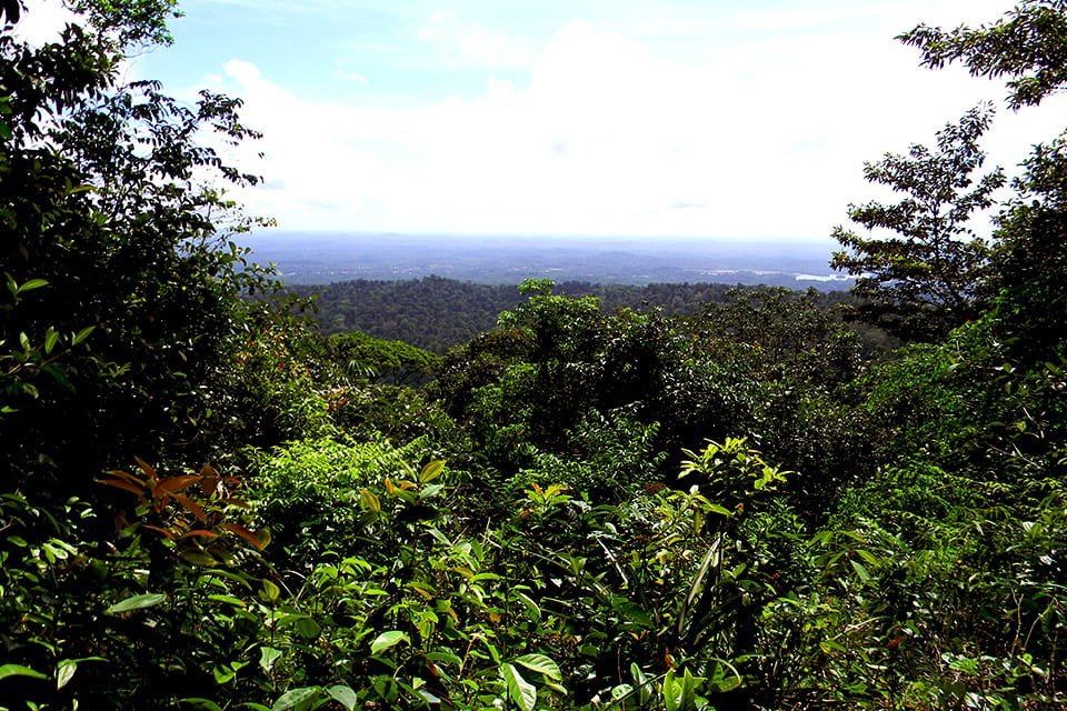 Brownsberg, Suriname