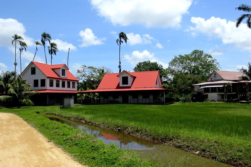 Peperpot plantage, Suriname