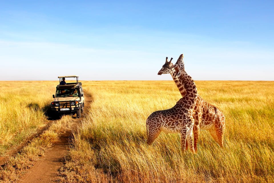 Serengeti National Park, Tanzania