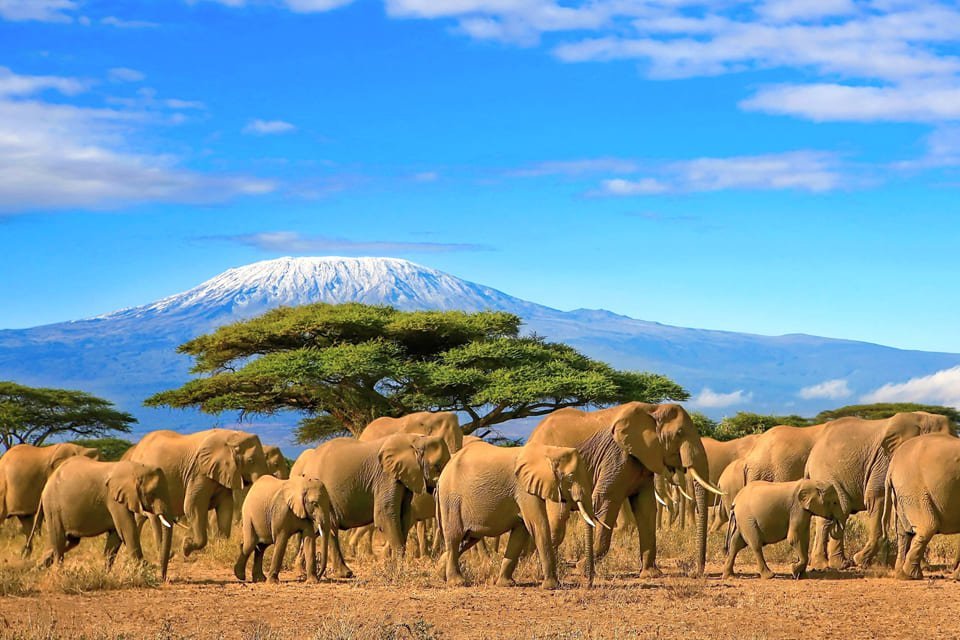 Kilimanjaro vanuit Tanzania